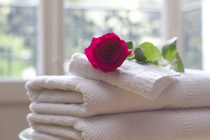 hotel-CAVALAIRE SUR MER-min_towel_rose_clean_care_salon_spa_white_bath-731641